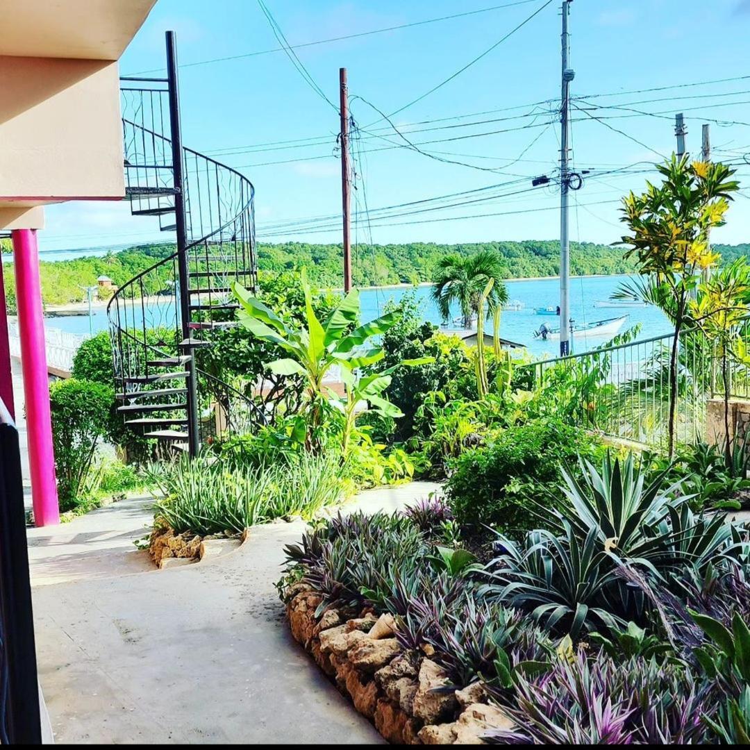 The Seaside Garden Guesthouse Buccoo Extérieur photo
