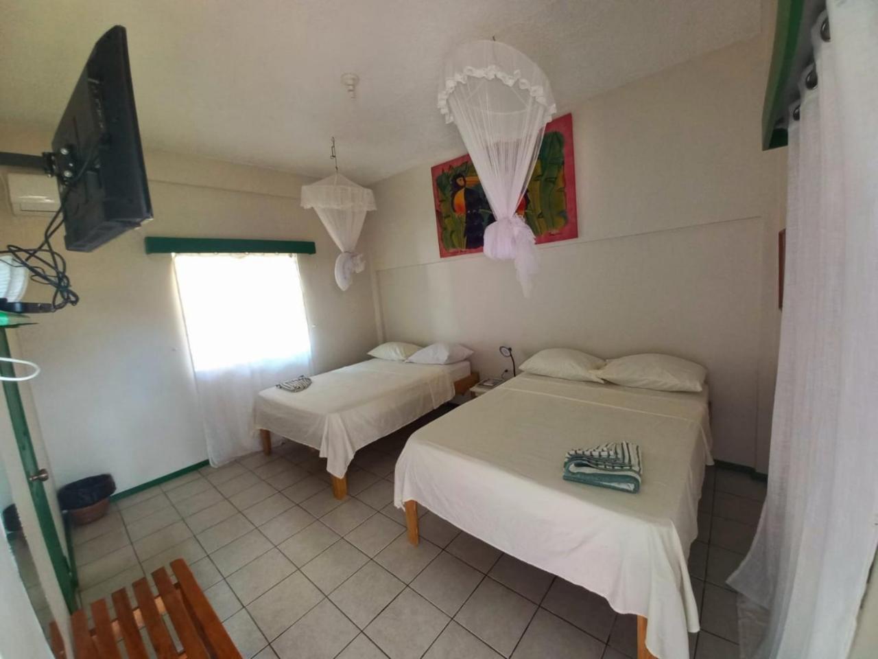 The Seaside Garden Guesthouse Buccoo Extérieur photo